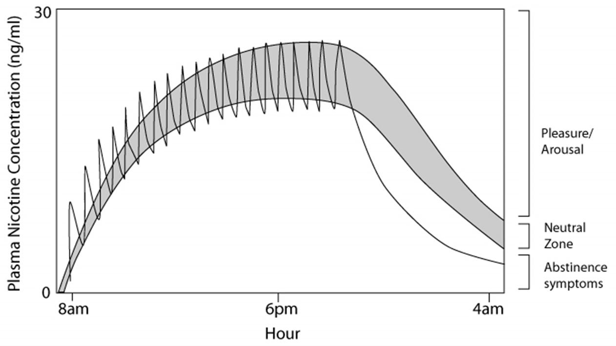 Daily_nicotine_addiction_cycle