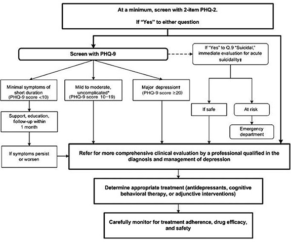 Recommended_steps_for_assessing_depression