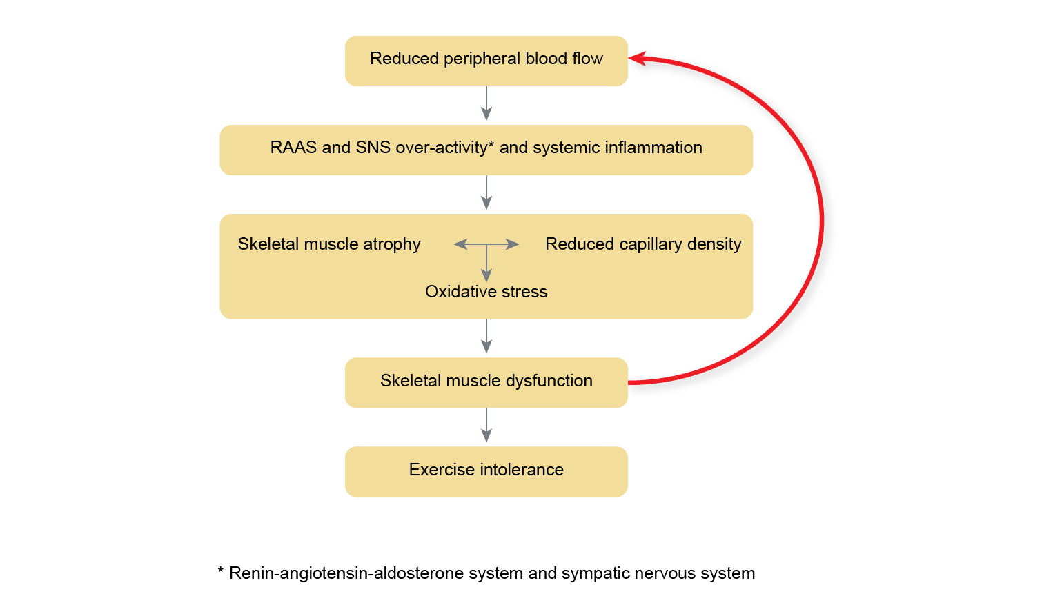 Skeletal muscle dysfunction diagram